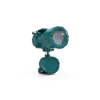 罗斯蒙特 Flexim FLUXUS F831 永久型流量计